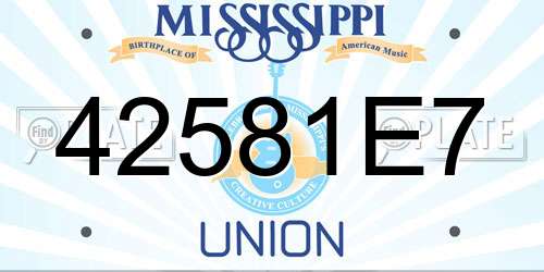 42581E7 Mississippi License Plate
