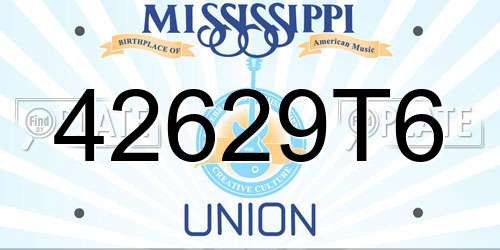 42629T6 Mississippi License Plate