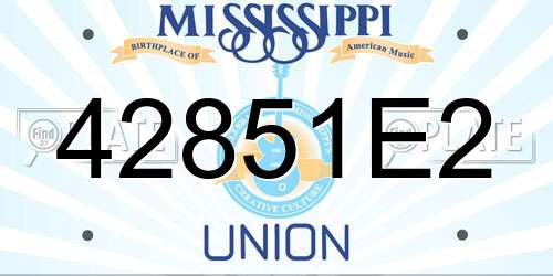 42851E2 Mississippi License Plate
