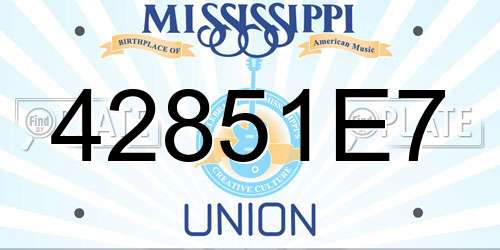 42851E7 Mississippi License Plate