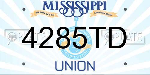 4285TD Mississippi License Plate
