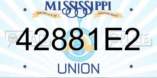 42881E2 Mississippi License Plate