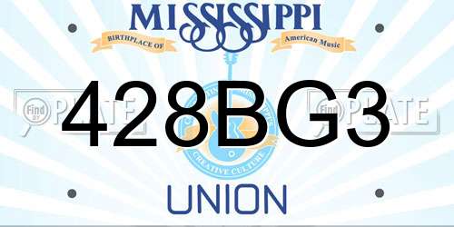 428BG3 Mississippi License Plate