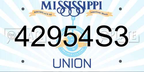 42954S3 Mississippi License Plate