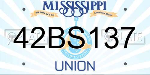 42BS137 Mississippi License Plate