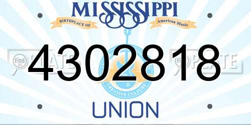 4302818 Mississippi License Plate