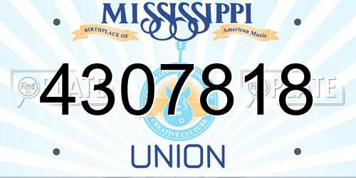 4307818 Mississippi License Plate