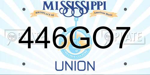 446GO7 Mississippi License Plate