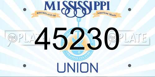 45230 Mississippi License Plate