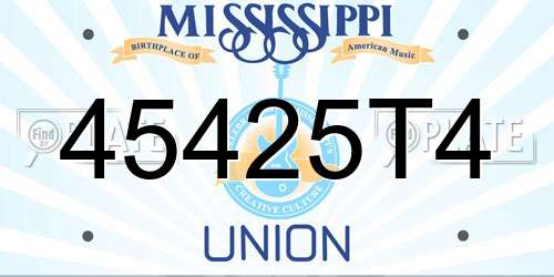 45425T4 Mississippi License Plate