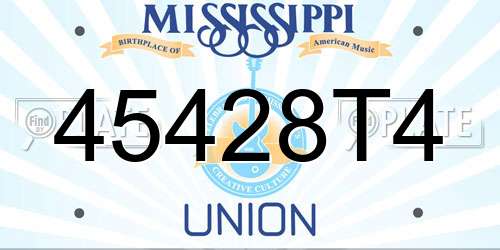 45428T4 Mississippi License Plate