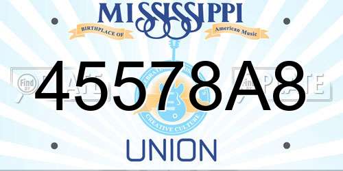 45578A8 Mississippi License Plate