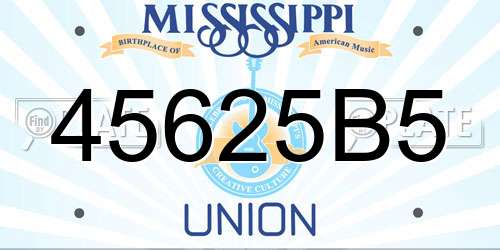 45625B5 Mississippi License Plate