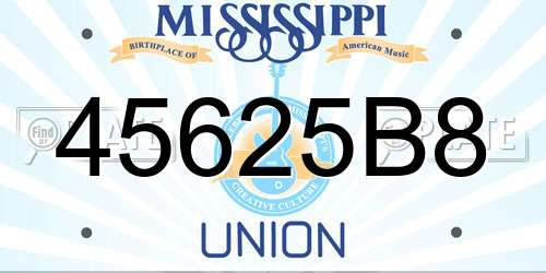 45625B8 Mississippi License Plate