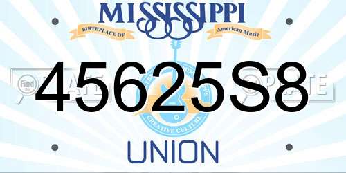45625S8 Mississippi License Plate
