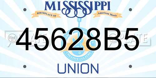 45628B5 Mississippi License Plate