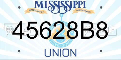 45628B8 Mississippi License Plate