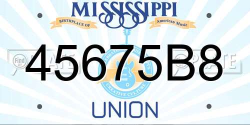 45675B8 Mississippi License Plate