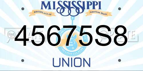 45675S8 Mississippi License Plate