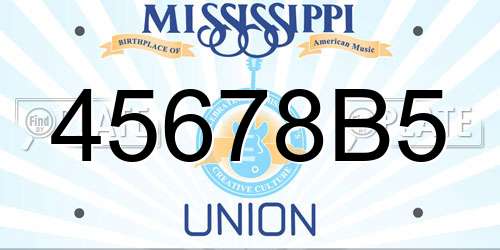 45678B5 Mississippi License Plate