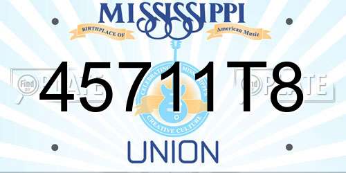 45711T8 Mississippi License Plate