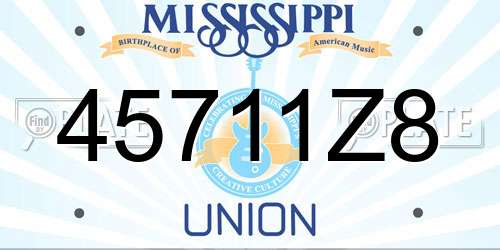 45711Z8 Mississippi License Plate