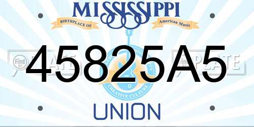 45825A5 Mississippi License Plate
