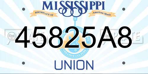 45825A8 Mississippi License Plate
