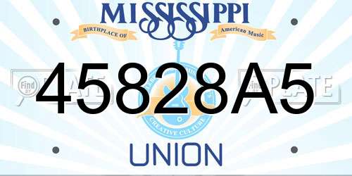 45828A5 Mississippi License Plate