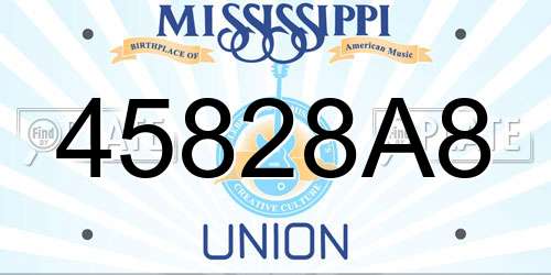 45828A8 Mississippi License Plate