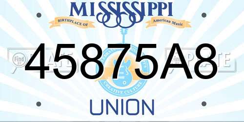 45875A8 Mississippi License Plate