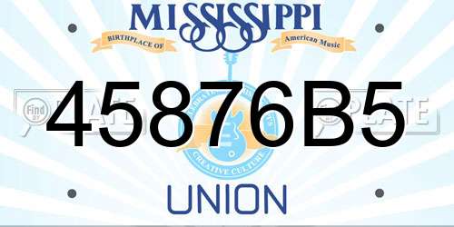 45876B5 Mississippi License Plate