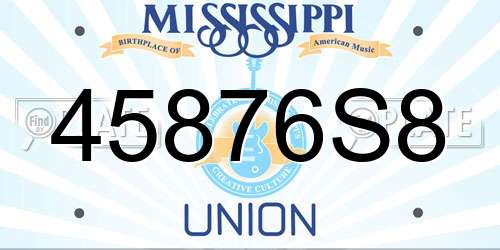 45876S8 Mississippi License Plate