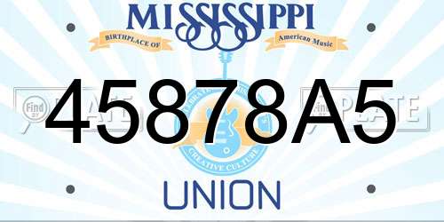 45878A5 Mississippi License Plate