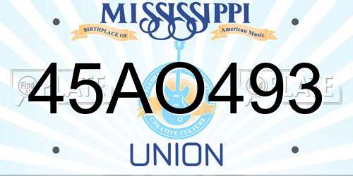 45AO493 Mississippi License Plate