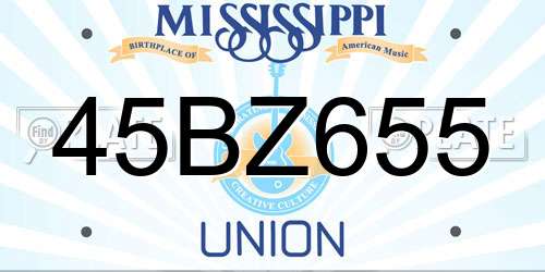 45BZ655 Mississippi License Plate