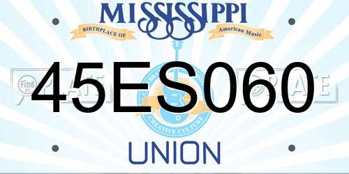 45ES060 Mississippi License Plate
