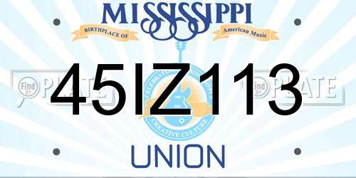 45IZ113 Mississippi License Plate