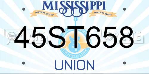 45ST658 Mississippi License Plate