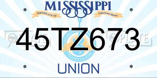 45TZ673 Mississippi License Plate
