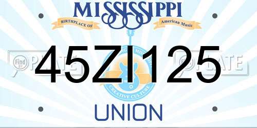 45ZI125 Mississippi License Plate