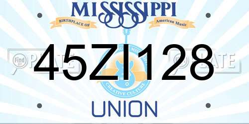 45ZI128 Mississippi License Plate