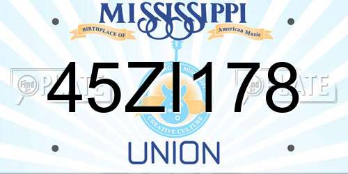 45ZI178 Mississippi License Plate
