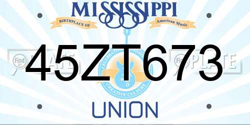 45ZT673 Mississippi License Plate