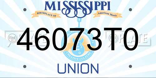 46073T0 Mississippi License Plate