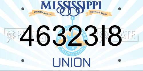 46323I8 Mississippi License Plate
