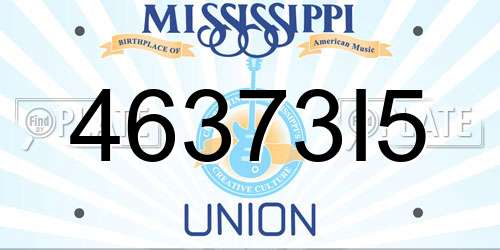 46373I5 Mississippi License Plate