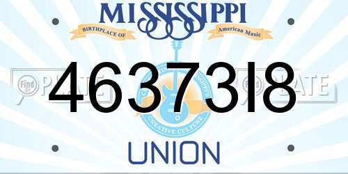 46373I8 Mississippi License Plate