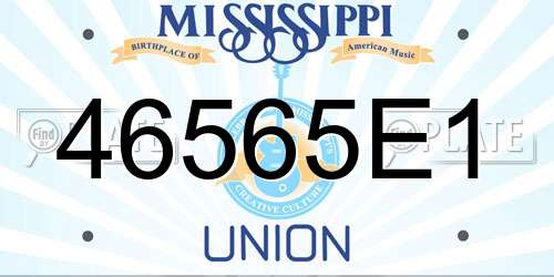 46565E1 Mississippi License Plate