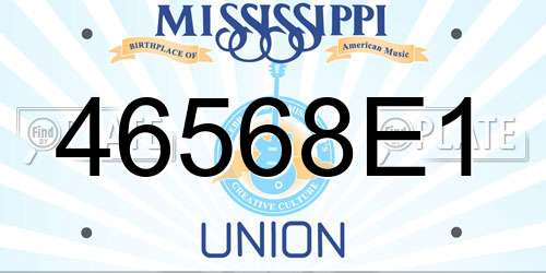 46568E1 Mississippi License Plate